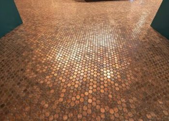 Bodega DEN Lands at DIA—with 266,000 Pennies Paving the Way